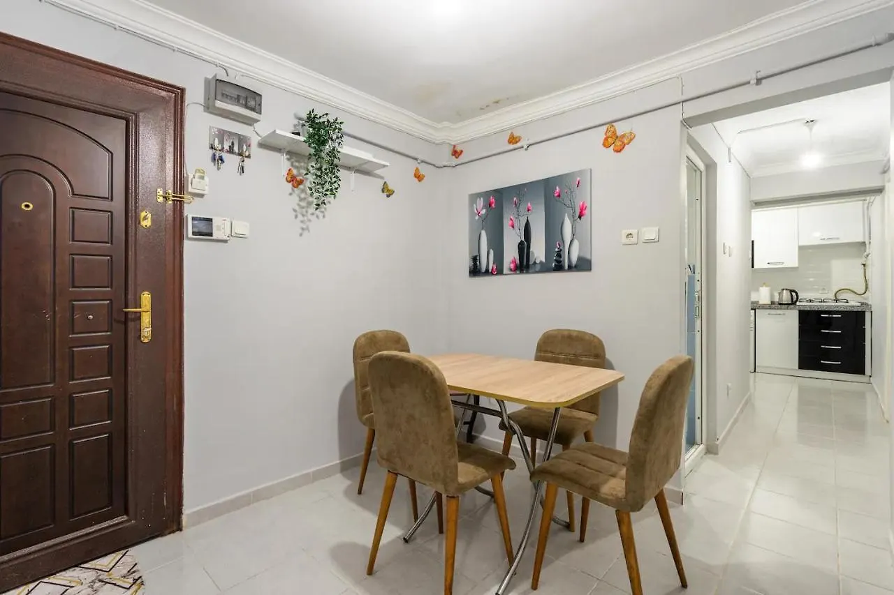 Central Istanbul Apartments