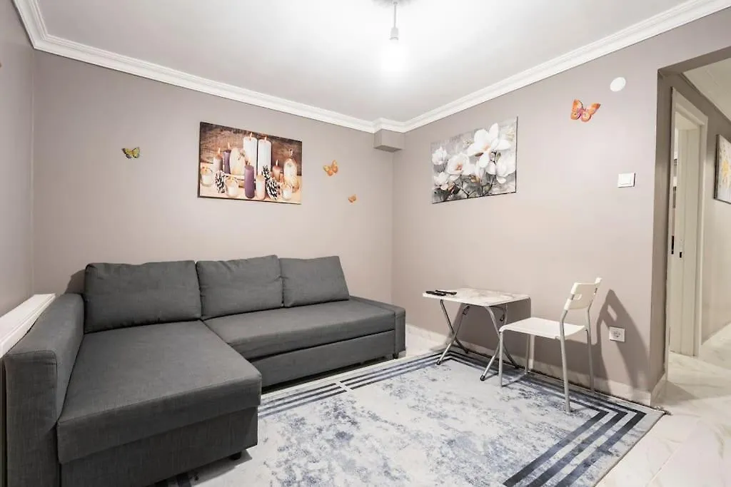 Central Istanbul Apartments