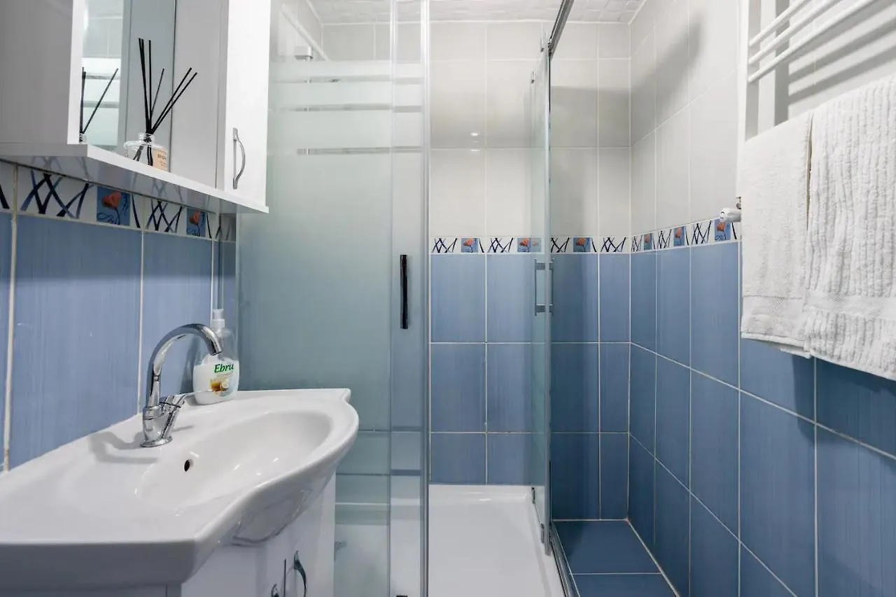 Central Istanbul Apartments